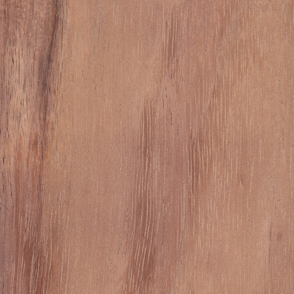 Koa The Wood Database Lumber Identification Hardwood