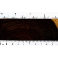 Lignum Vitae (endgrain)