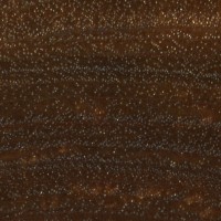 Lignum Vitae (endgrain 10x)