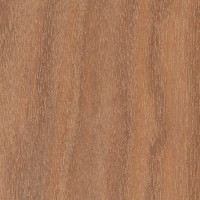 Makore (Tieghemella heckelii) Makore (Tieghemella heckelii)