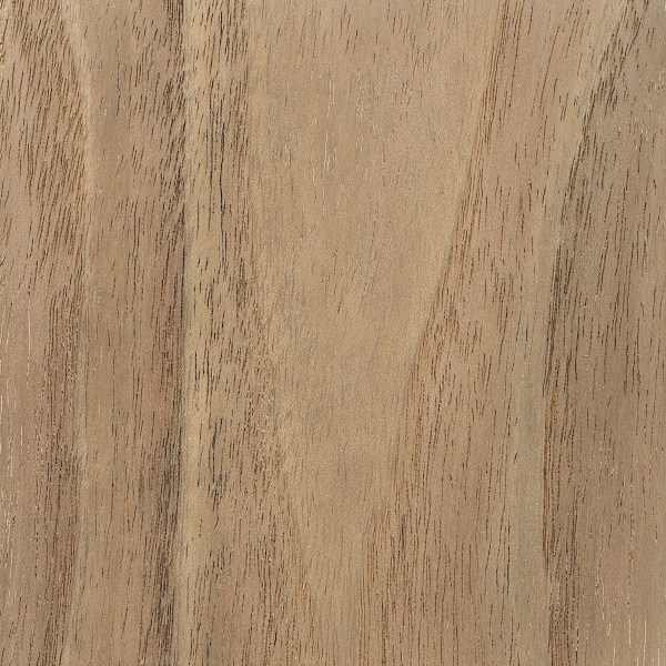 Mimosa The Wood Database Lumber Identification (Hardwood)