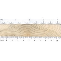 Northern White Cedar (endgrain) Northern White Cedar (endgrain)