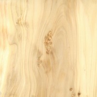 Northern White Cedar (sealed) Northern White Cedar (sealed)