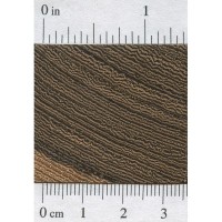 Panga Panga (endgrain)