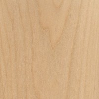 Red Alder (Alnus rubra)