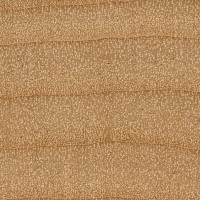 Red Alder (endgrain 10x)