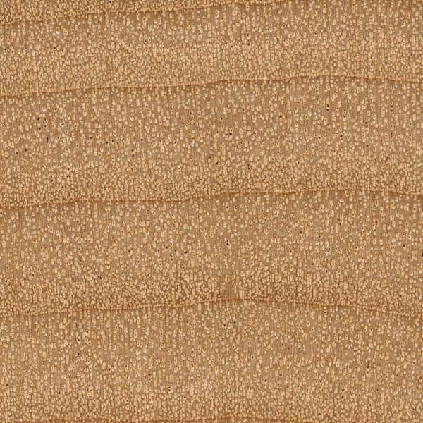 Red Alder The Wood Database Lumber Identification (Hardwood)