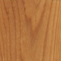 alder wood sealed database hardwood body lumber guitar fender strat 1998 mexico solid type