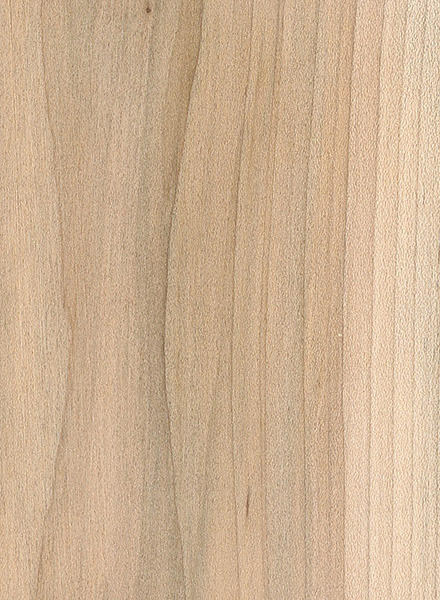 Red Maple The Wood Database Lumber Identification Hardwood 