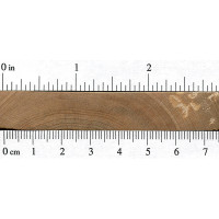 Red Maple (endgrain)