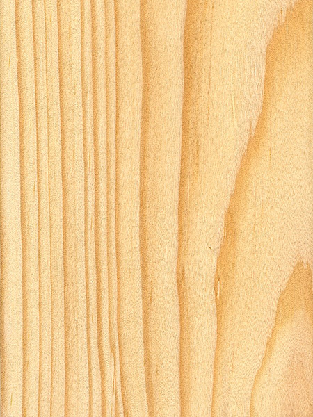Spruce Pine | The Wood Database - Lumber Identification ...