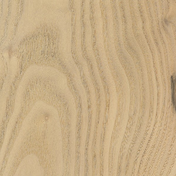 Sassafras Wood Hardness Scale at Gloria Henry blog