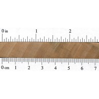 Silver Maple (endgrain) Silver Maple (endgrain)