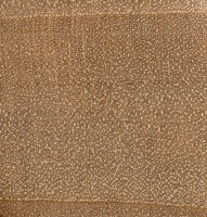 Silver Maple (endgrain 10x) Silver Maple (endgrain 10x)