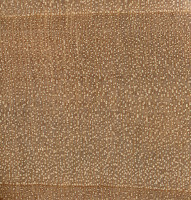 Silver Maple (endgrain 10x)