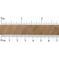 Silver Maple (endgrain)