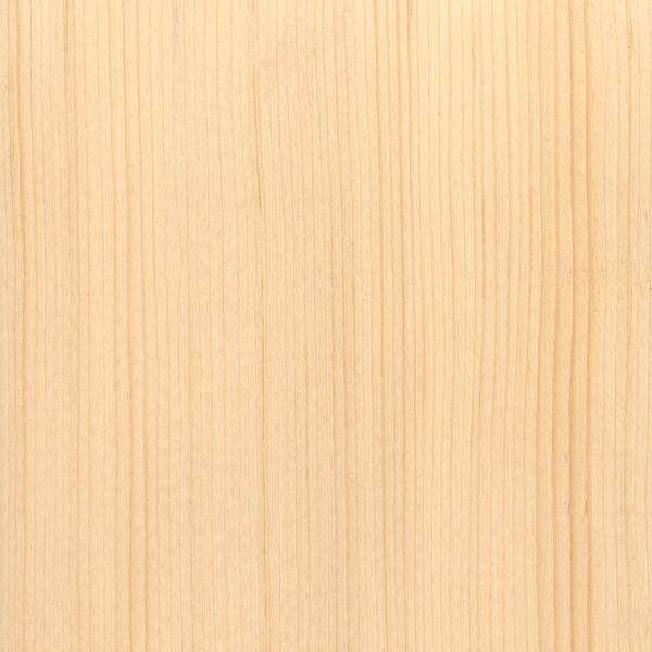Sitka Spruce The Wood Database Lumber Identification (Softwood)
