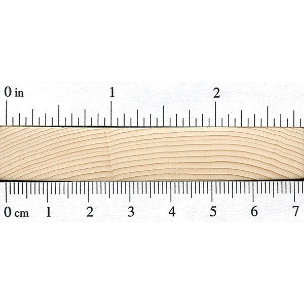 Subalpine Fir The Wood Database Lumber Identification (Softwood)