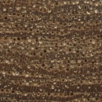 Teak (endgrain 10x) Teak (endgrain 10x)