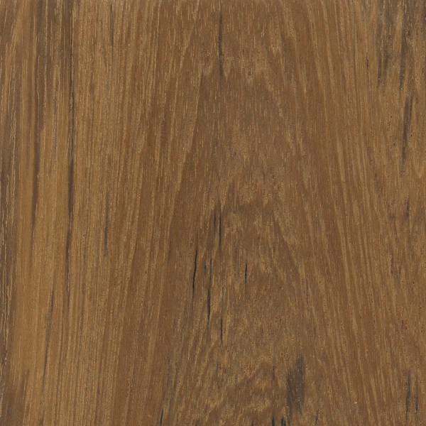 teak-the-wood-database-lumber-identification-hardwood