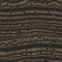 Wenge (endgrain 10x)