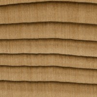 Western Redcedar (endgrain 10x) Western Redcedar (endgrain 10x)
