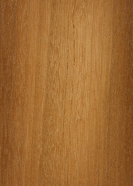 White Meranti | The Wood Database - Lumber Identification (Hardwood)