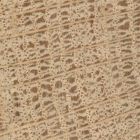 White Oak Endgrain White Oak Endgrain (zoom)