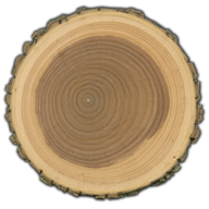 www.wood-database.com