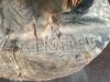 10 Statue Lettering.JPG