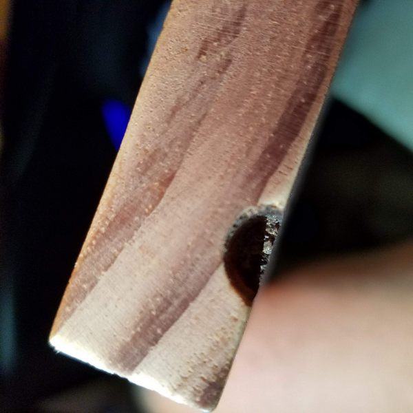 Jatoba The Wood Database Lumber Identification (Hardwood)