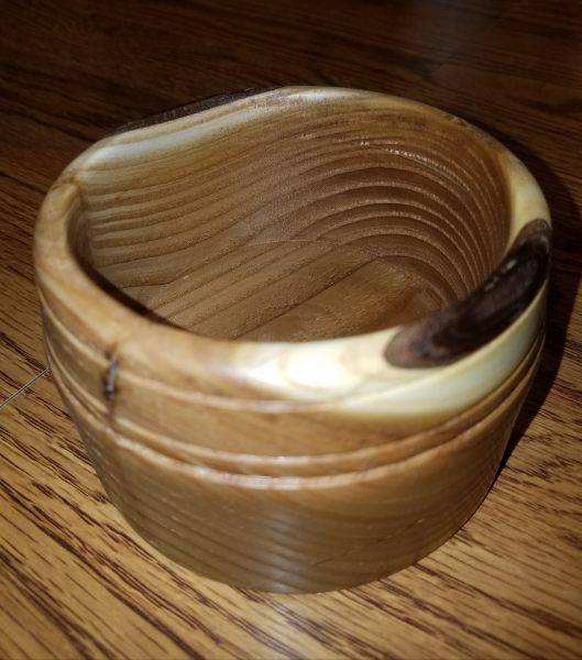 Russian Olive The Wood Database Lumber Identification (Hardwood)