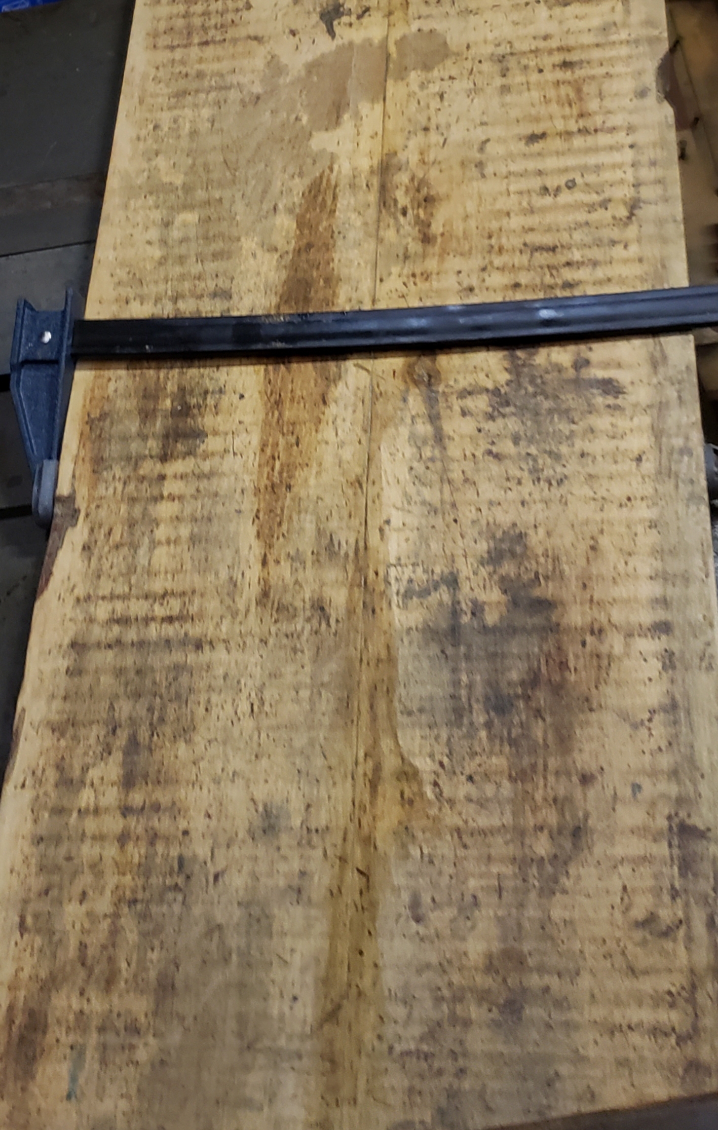 Quilted Maple The Wood Database Lumber Identification (Hardwood)