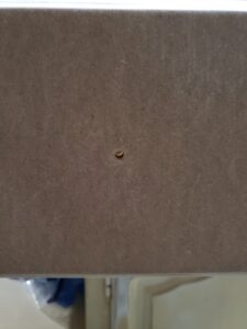 20201104_210653.jpg