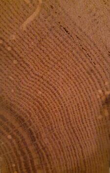 20201127_201042.jpg