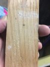 3B6B339B-4F60-43F2-BA9E-E8DB90F31D40.jpeg