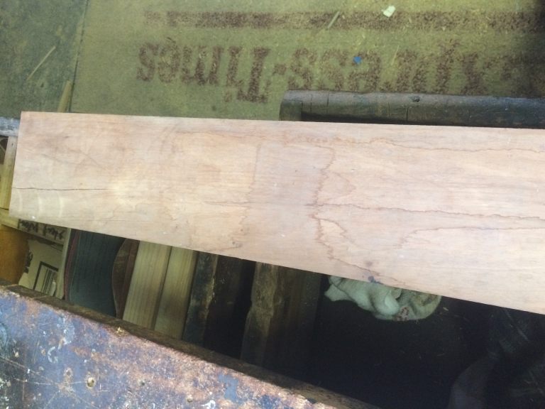 Hardwood Anatomy The Wood Database