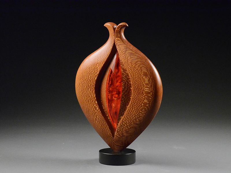 Leopardwood The Wood Database Lumber Identification (Hardwood)