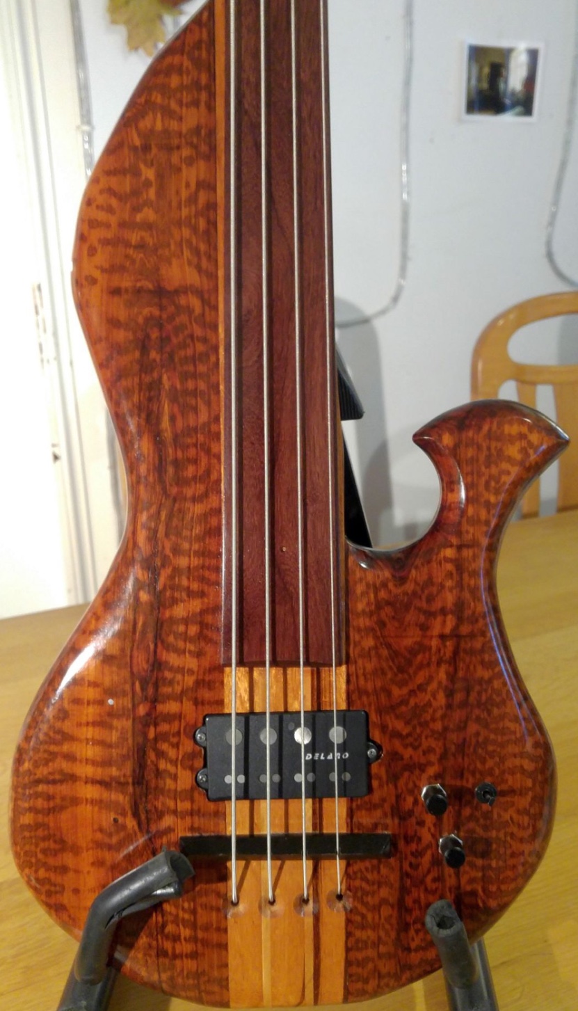 Snakewood The Wood Database Lumber Identification (Hardwood)