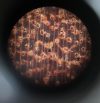 Endgrain1