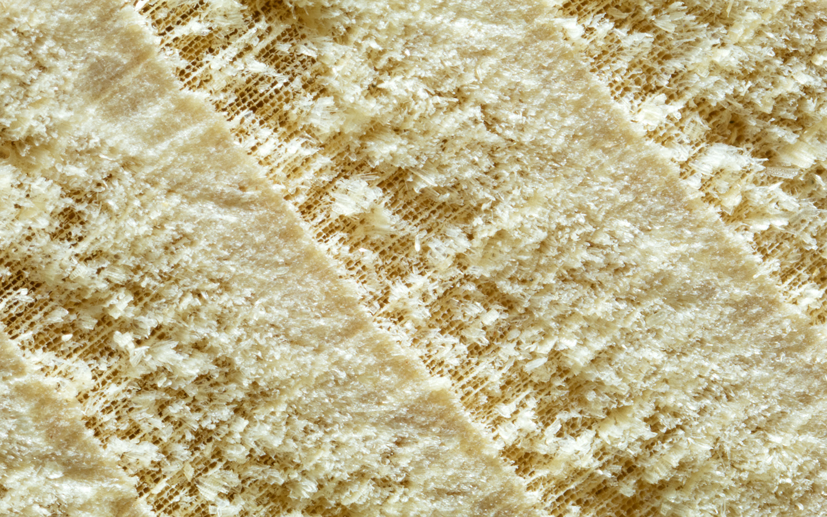 European Silver Fir The Wood Database Lumber Identification (Softwood)