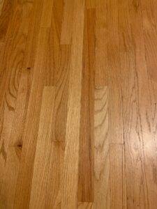 IMG_0126.jpg