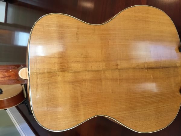 Black Locust The Wood Database - Lumber Identification ...
