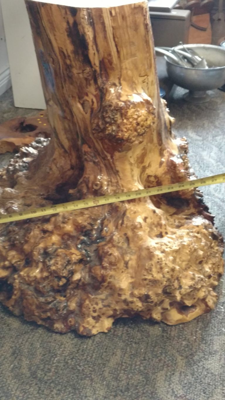 American Elm The Wood Database Lumber Identification (Hardwood)