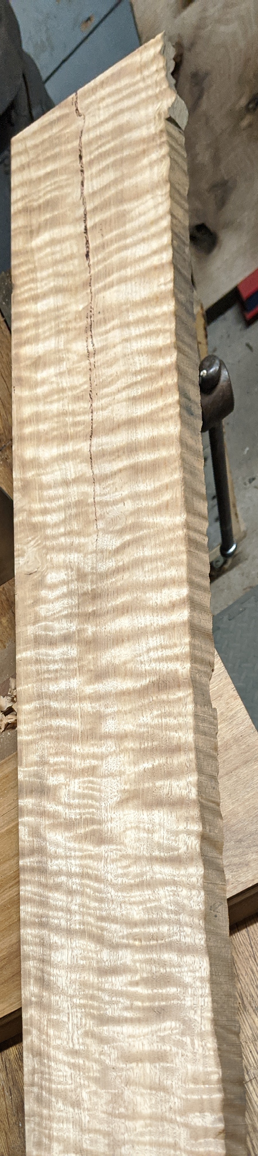 Quilted Maple The Wood Database Lumber Identification (Hardwood)