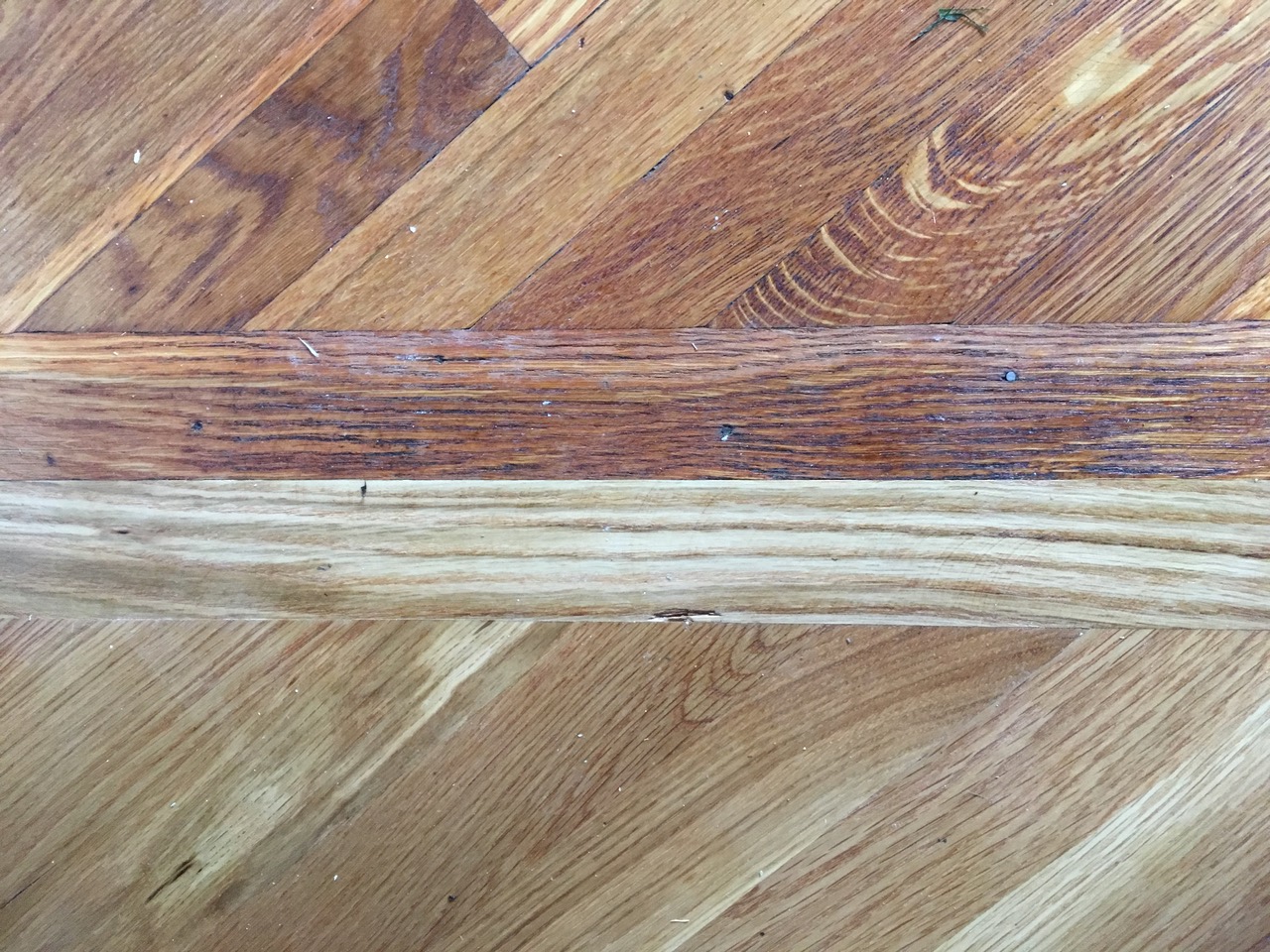 Distinguishing Red and White Oak The Wood Database