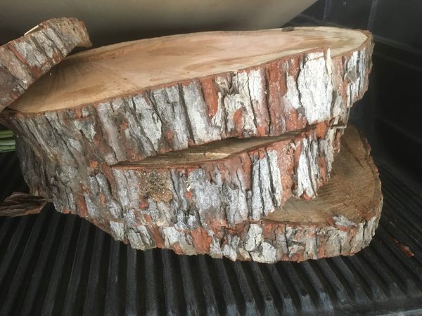 Hardwood Anatomy | The Wood Database