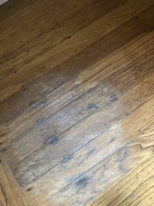 IMG_6365.jpg