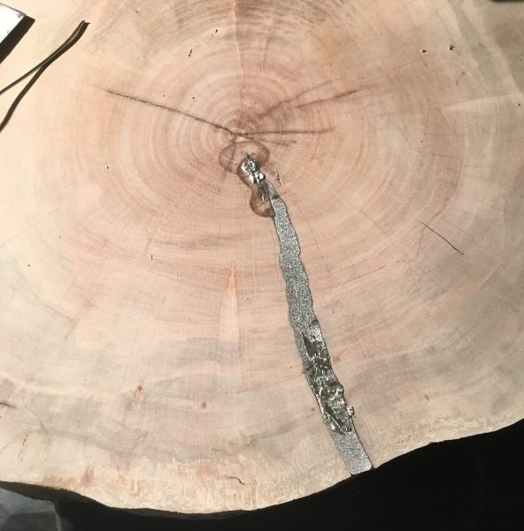 Hardwood Anatomy The Wood Database