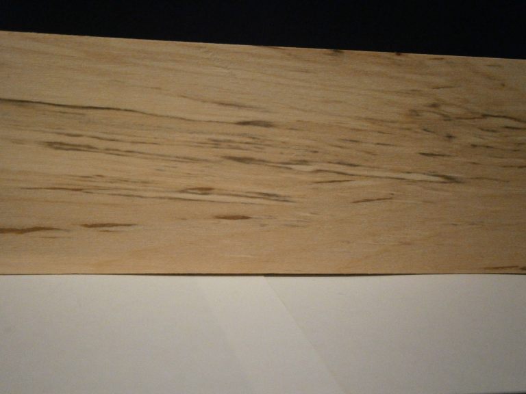 Gray Birch The Wood Database Lumber Identification (Hardwood)